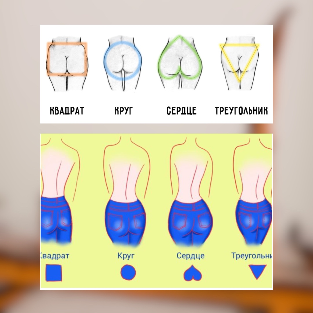 Тип женских ягодиц: строение и формы
