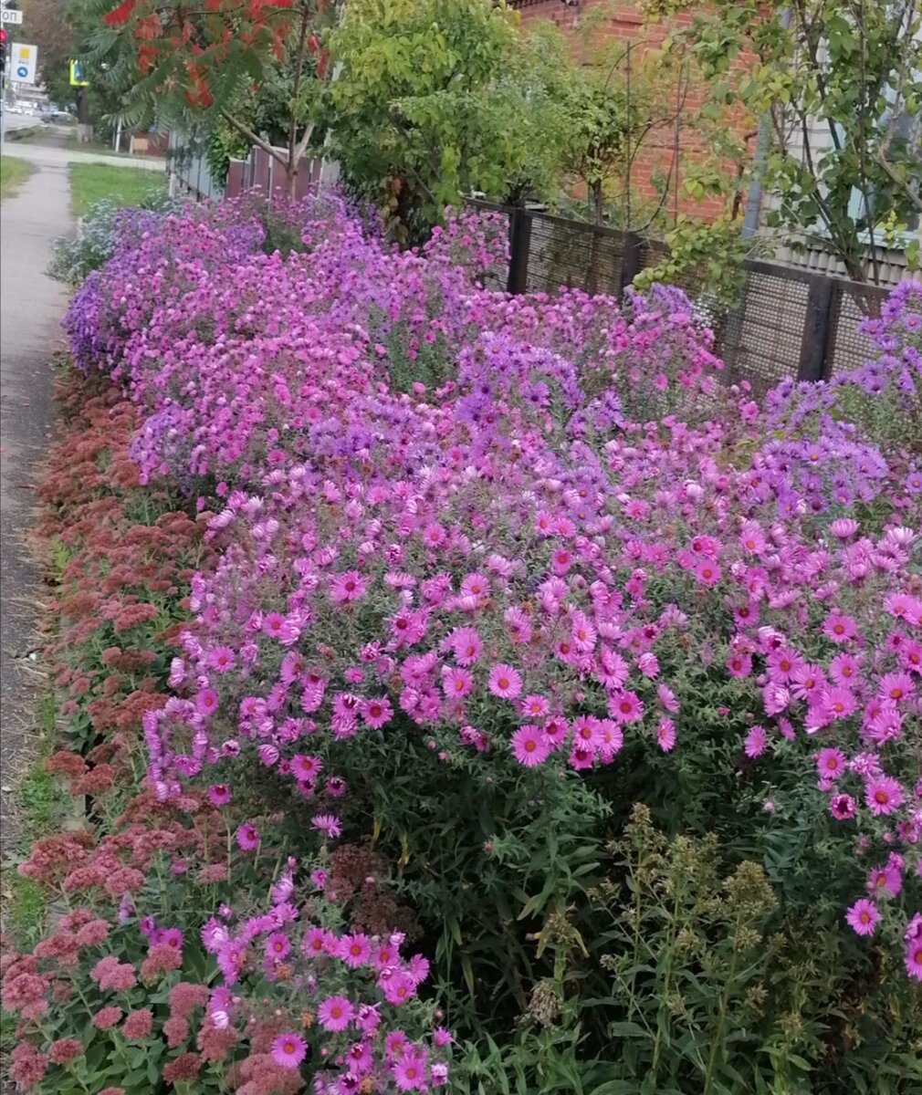 фото из личного архива