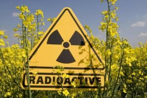    Фото: techinsider.ru Анна Норкина