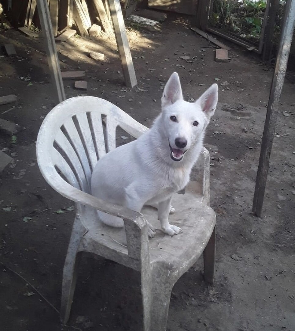 Белка.фото из архива Вали.опубликовано с ее согласия