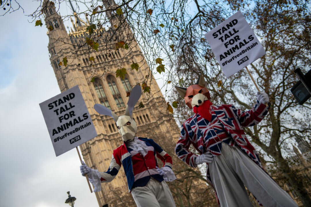    Акция протеста в Великобритании Фото: Getty Images