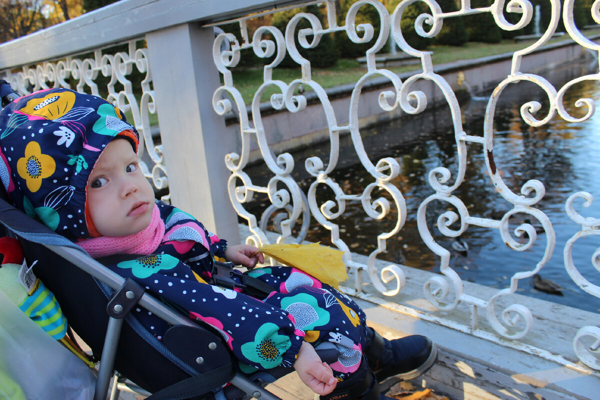 Петергоф и взгляд говорит за себя.