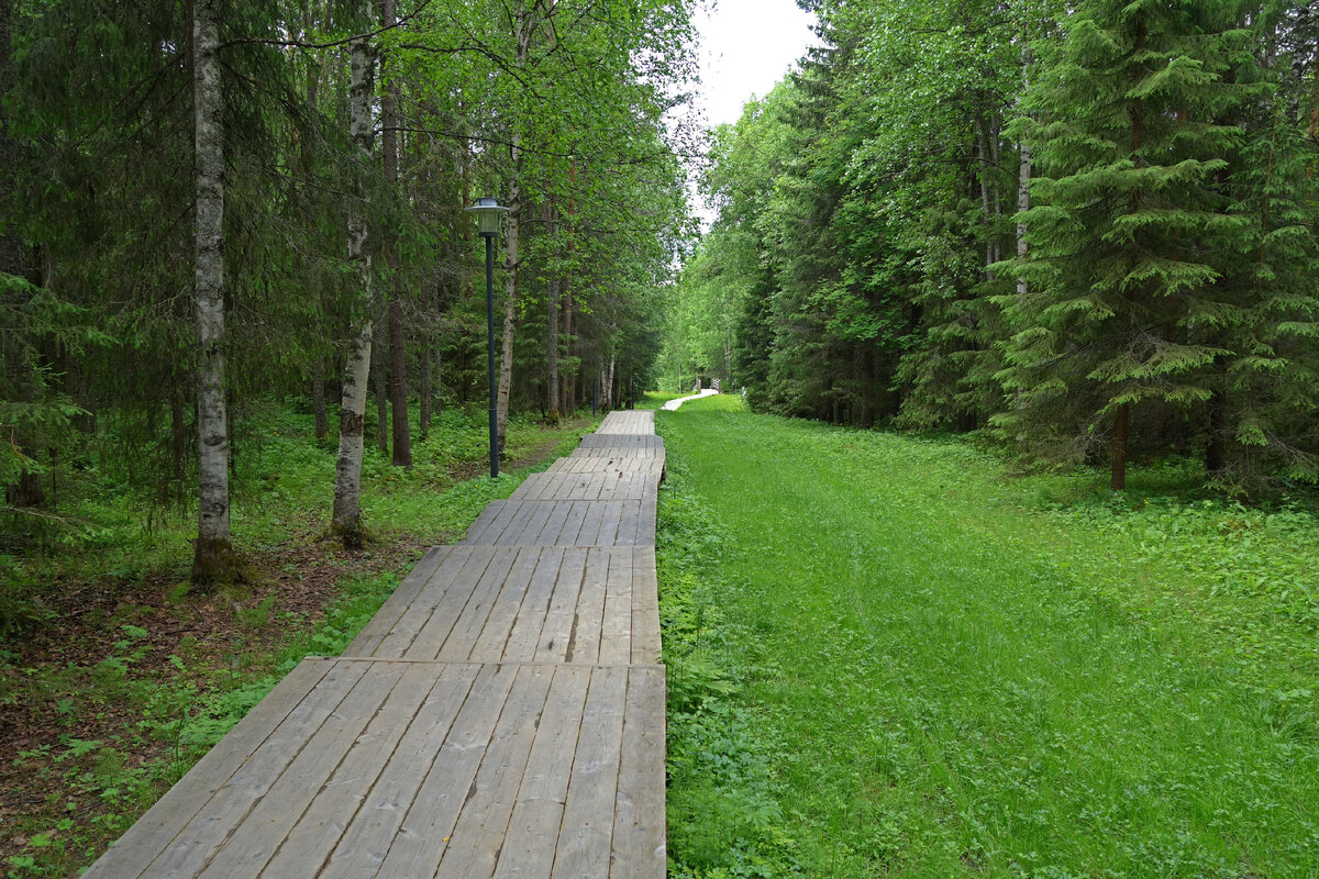 Малые Карелы лестница