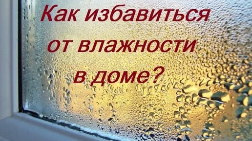 Как избавиться от влажности в доме? Осушитель воздуха!