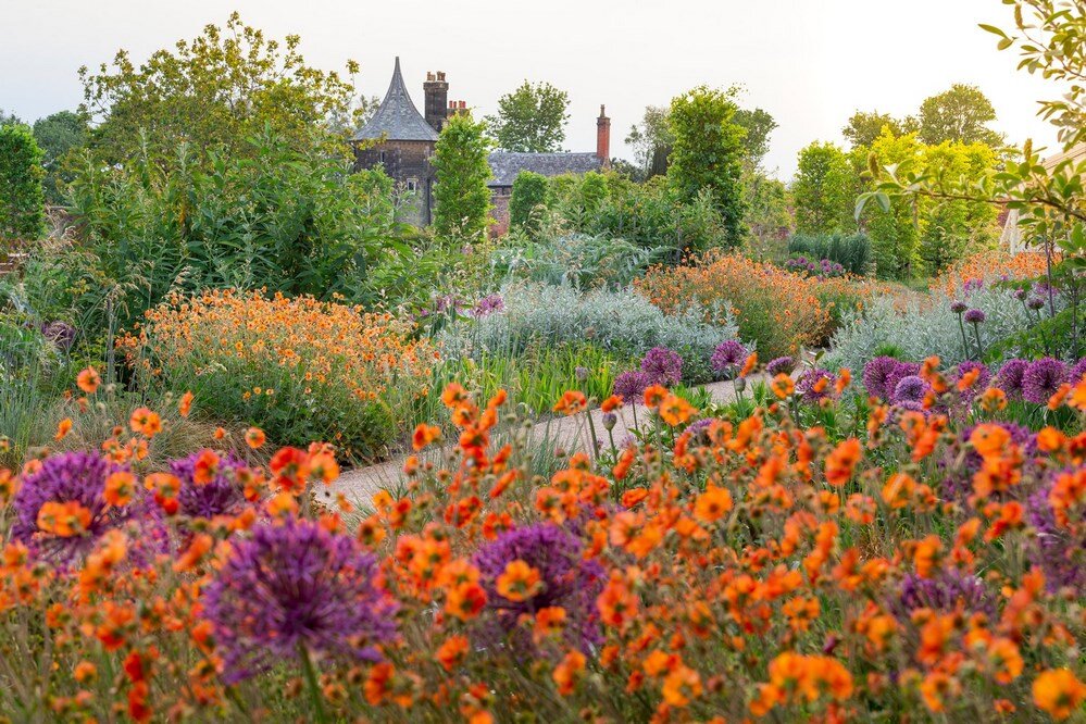 Аллиум и геум/гравилат