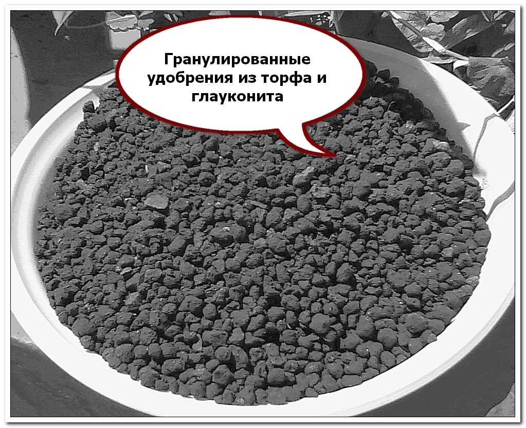 Общий вид гранулированных гуминовых удобрений