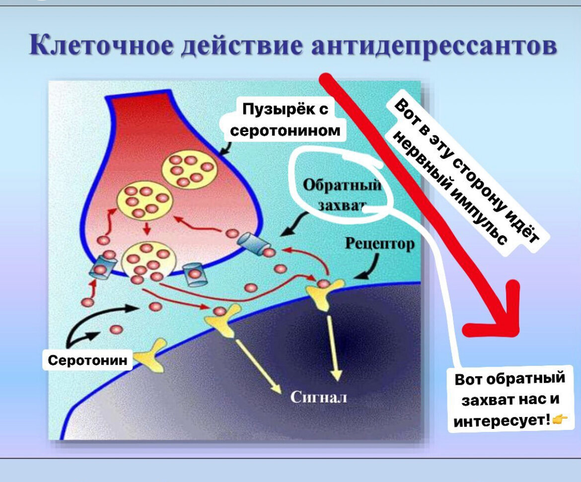 Добавьте описание