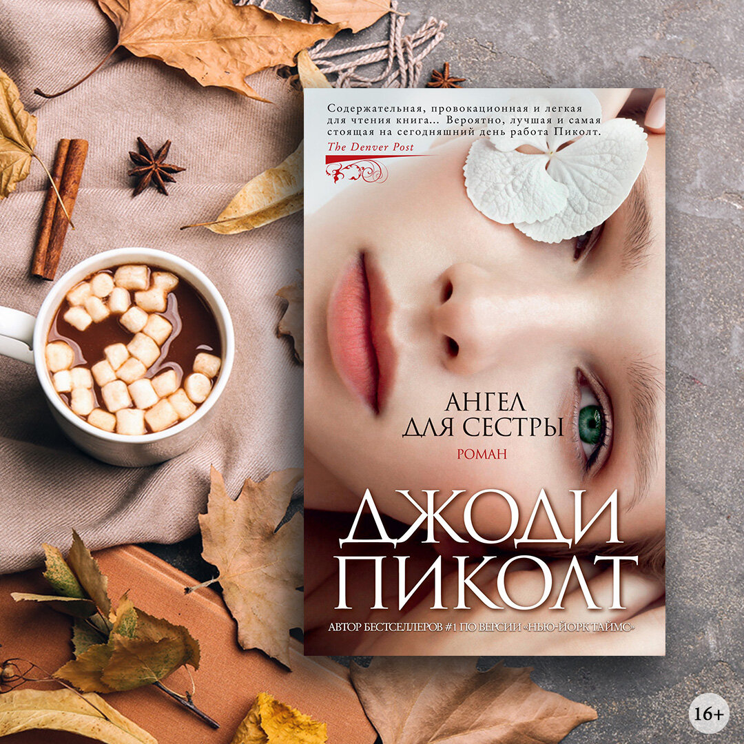 Путеводитель по книгам Джоди Пиколт | Азбука-Аттикус | Дзен