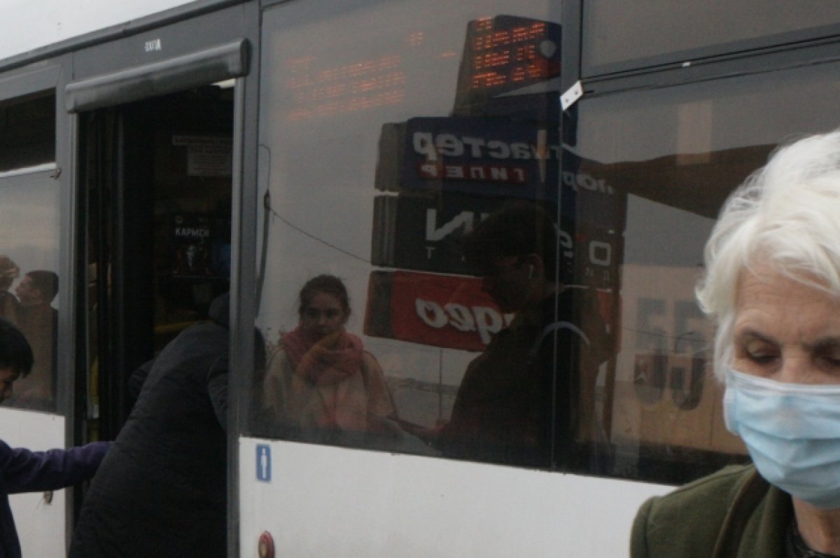    60 млн руб направили на поддержу воронежского пассажирского транспорта