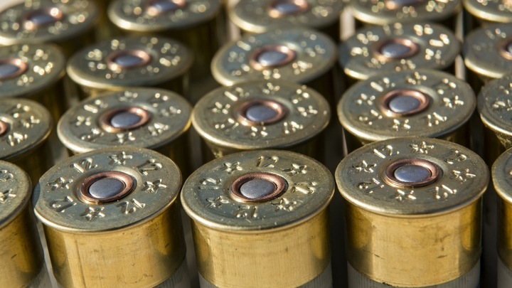 NIKOLAY GYNGAZOV/GLOBALLOOKPRESS