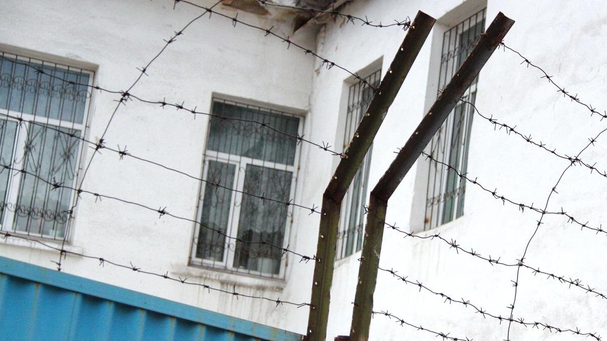    Колючая проволока:NUR.KZ / Петр Карандашов