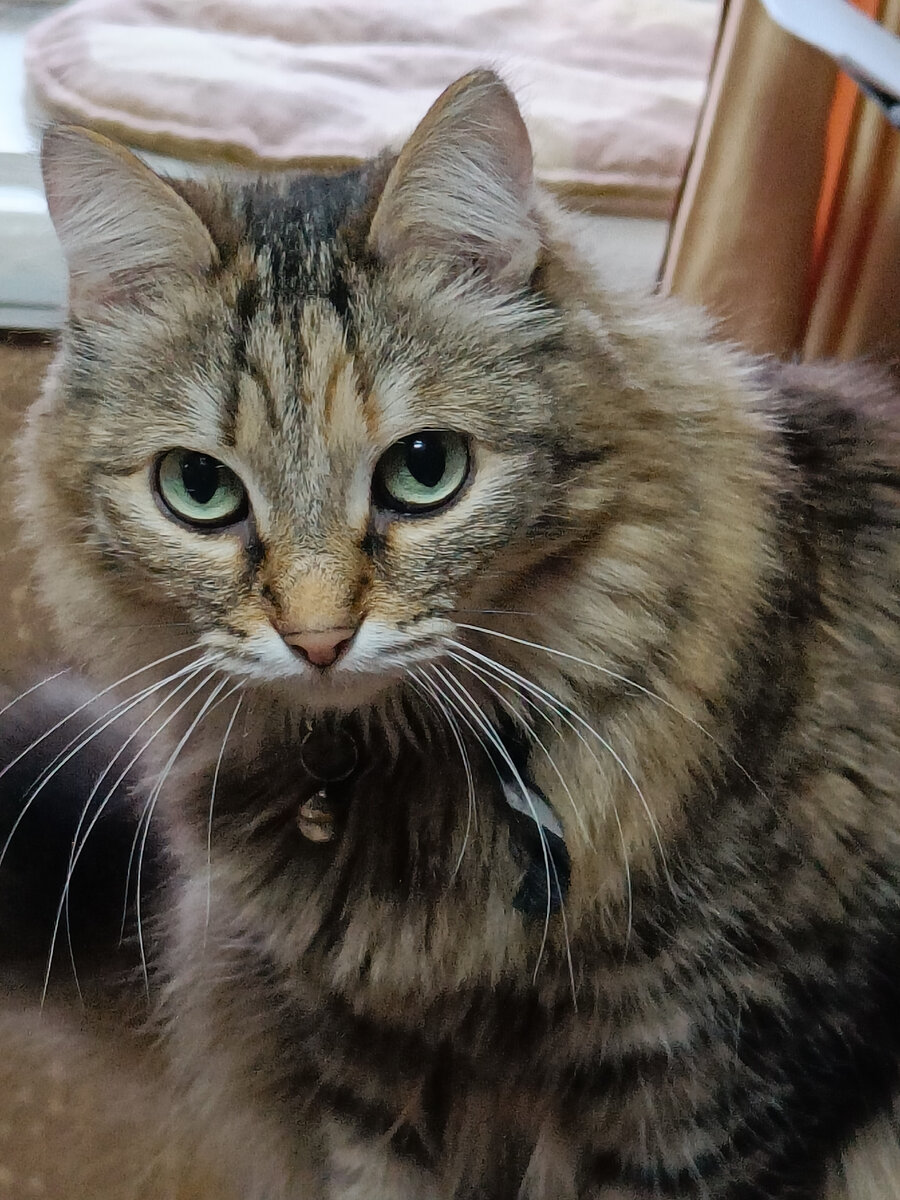 Наша любимочка Марусинка