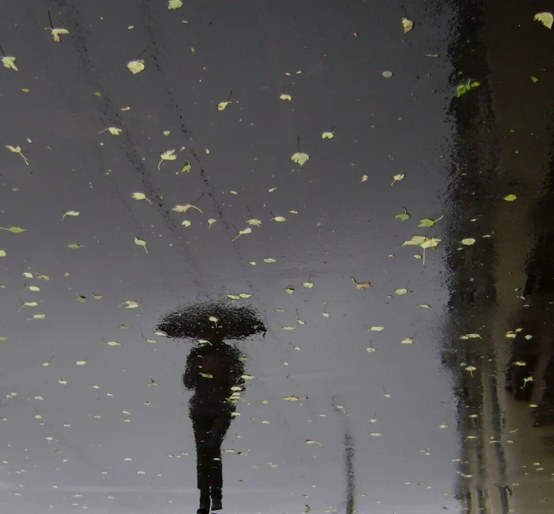 дождь тоску нагоняя. дождь одиночество. осенняя печаль. дождь грусть. дождь осень грусть тоска.