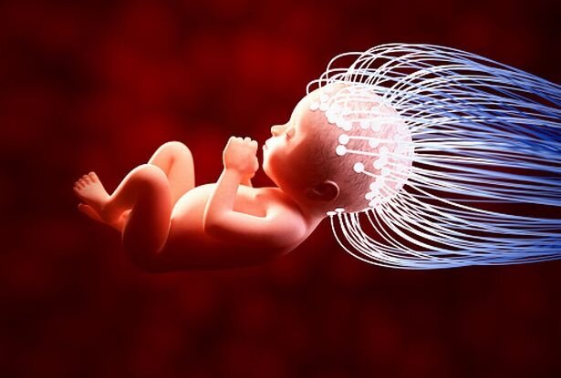 Люди станут детьми ИИ