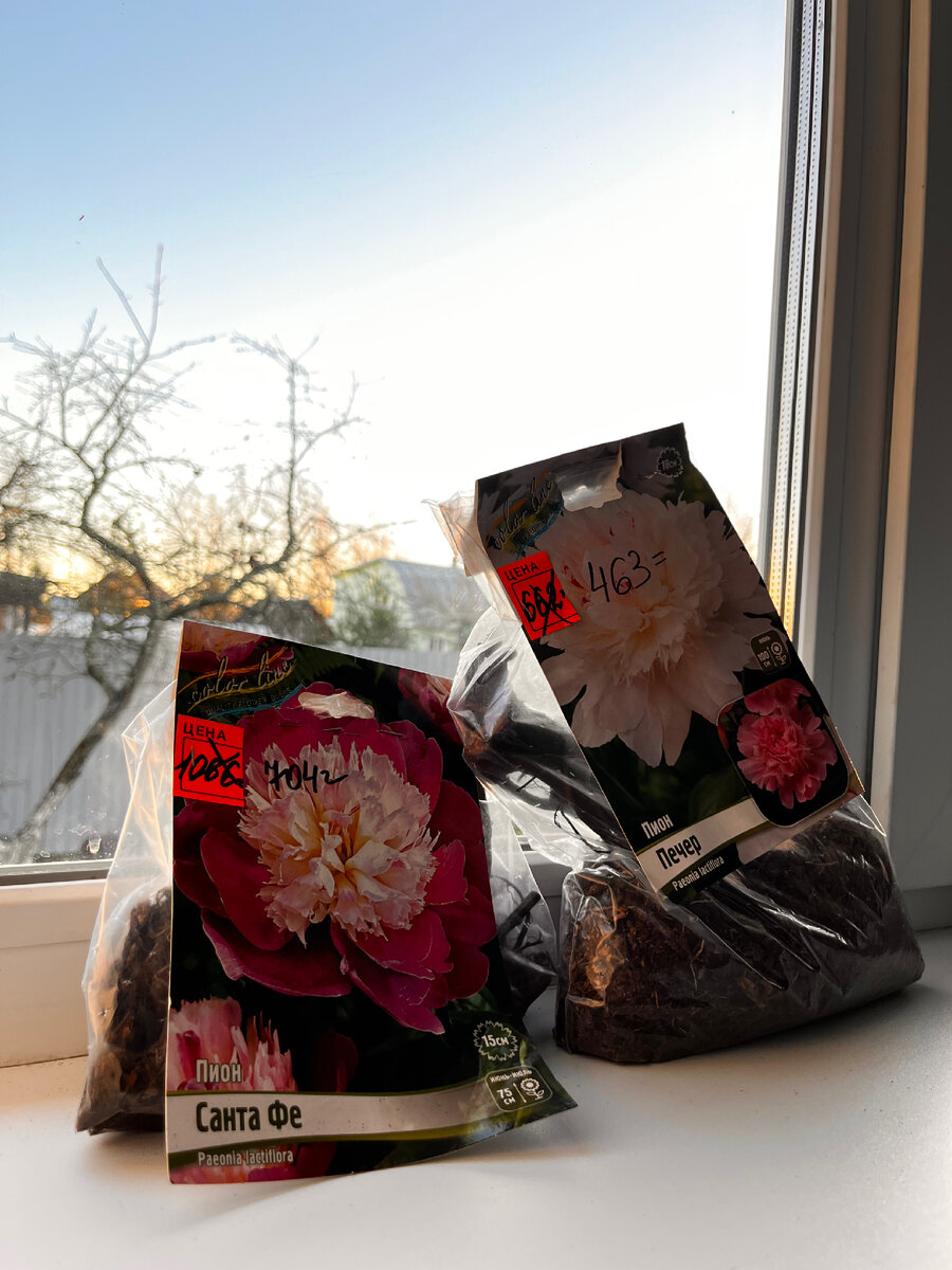 Красавцы до посадки