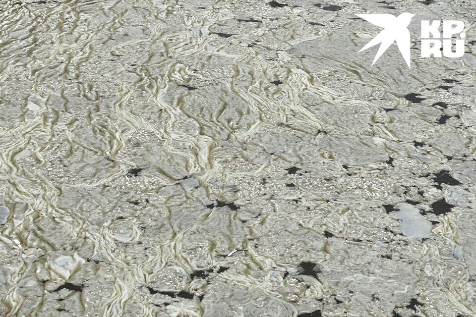     Загрязнения похожи на чайный гриб или пленку от молока. Фото: предоставлено читателями КП-Новосибирск.