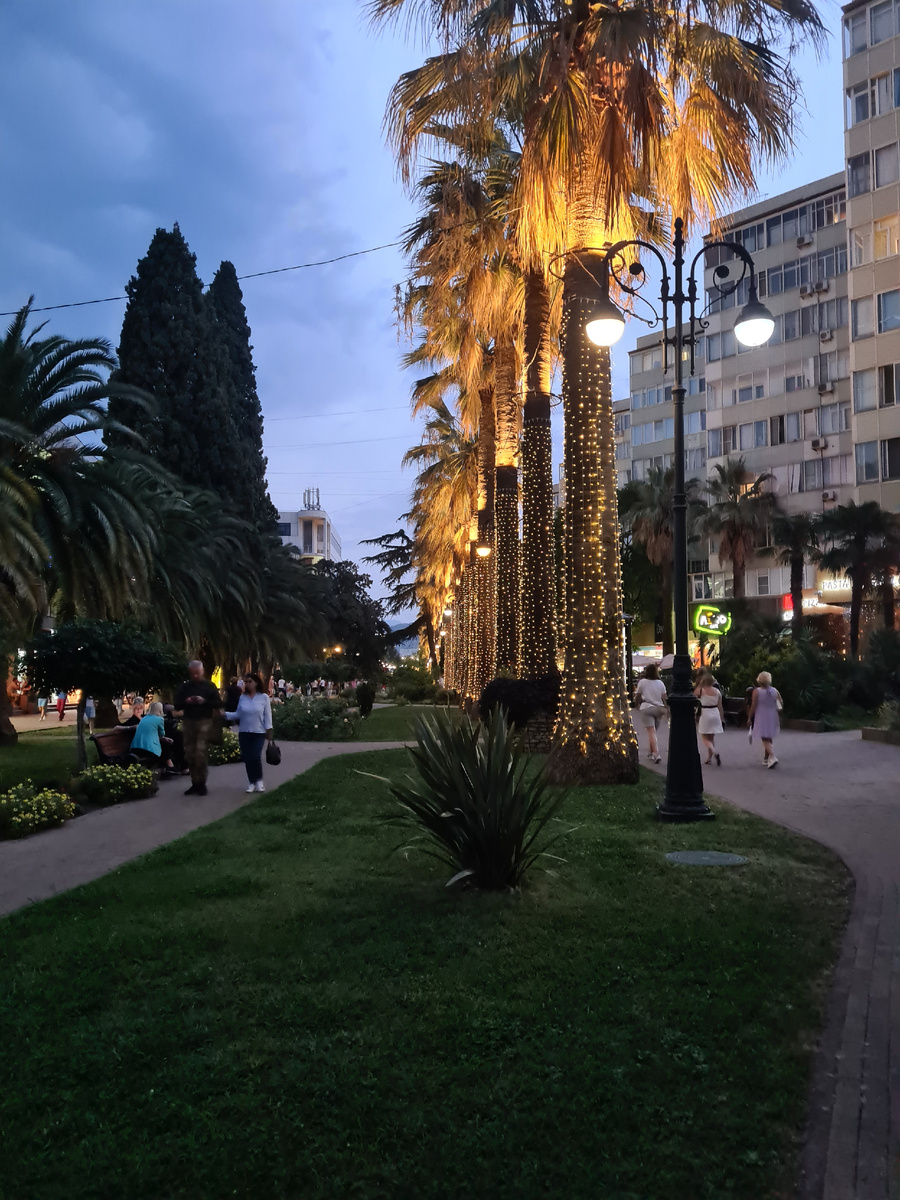 Кипарисовая аллея .Навагинская