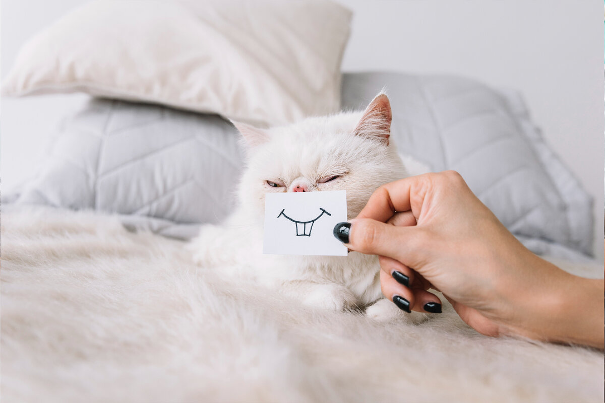 Источник: https://7hands.com/