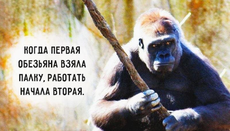 Фото из свободного доступа.