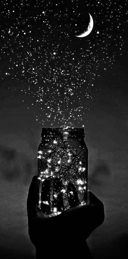 Изображение из интернета.