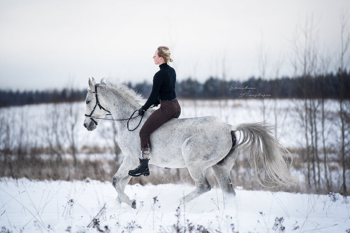 Конный спорт - не дешевое развлечение!