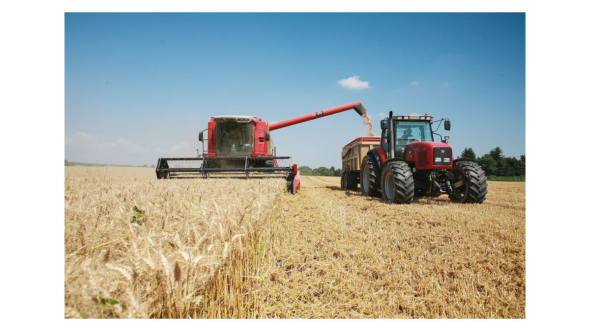    Уборка урожая зерна© fotolia.com / X BEGUET