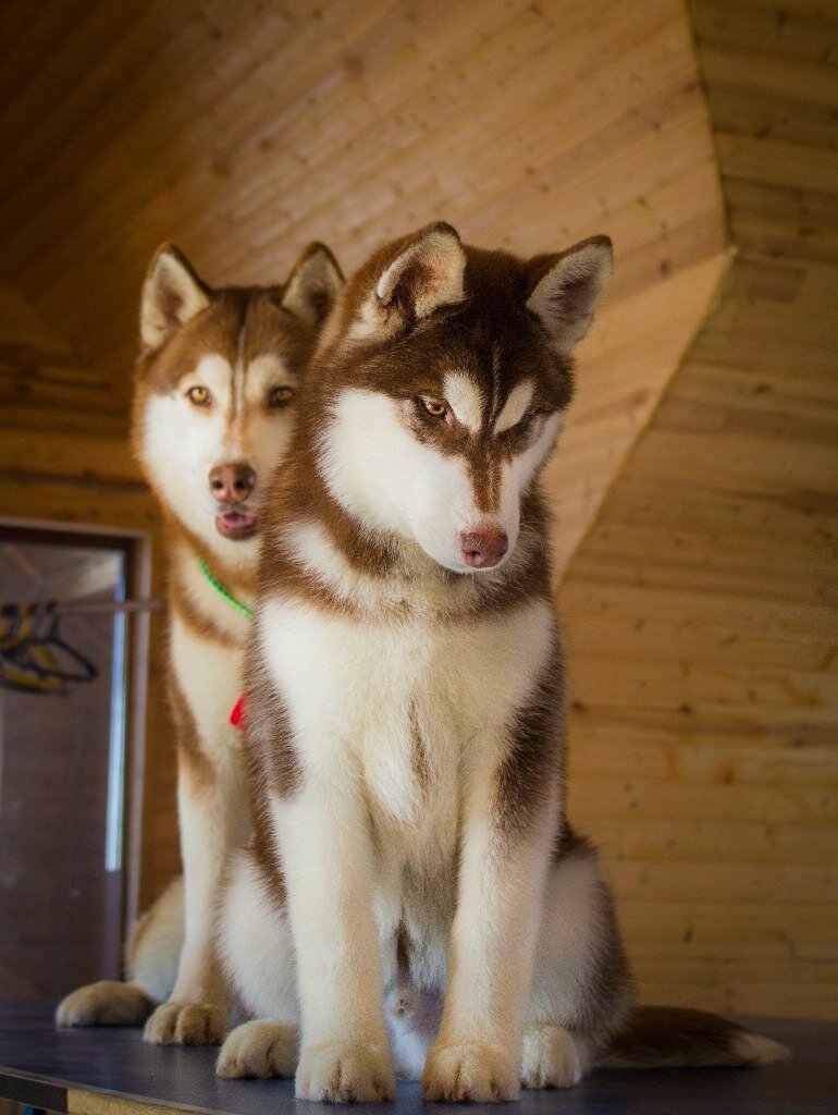 Мы тут на столе посидим, ладно?