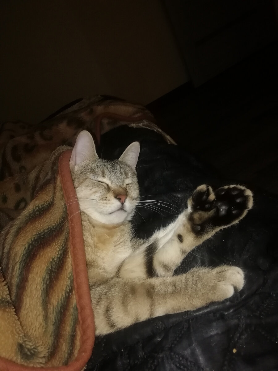 Не будить до весны))) 