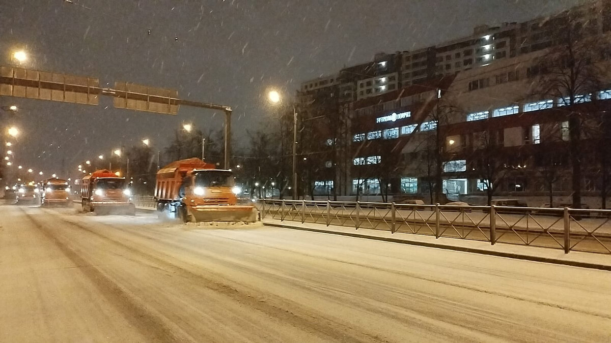   
 Фото: Комитет по благоустройству Петербурга