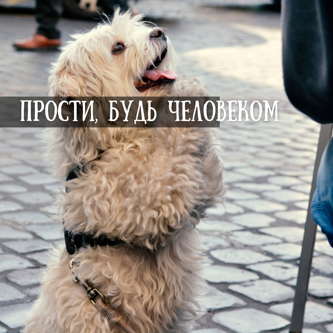 Создано на canva.com