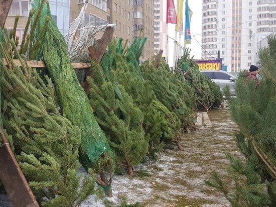     Фото: архив администрации Курска