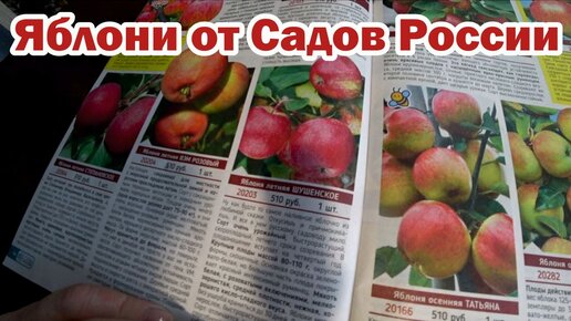 Смотрим каталог 