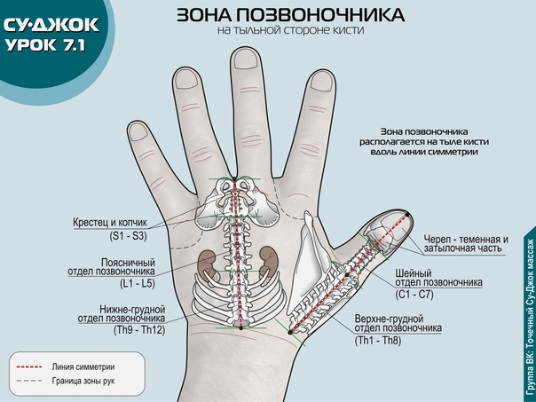 Получить результаты исследований онлайн