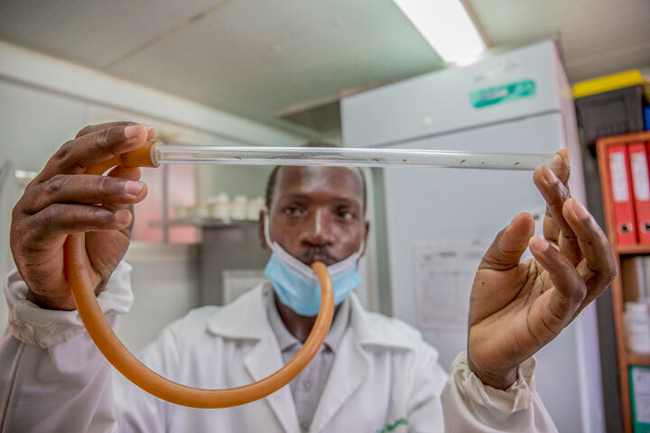     Фото: Cynthia R. Matonhodze/Science Селсо Мелембе, техник Центра медицинских исследований Manhiça в Мозамбике, использует трубку с фильтром для переноса комаров в ходе исследования эффективности надкроватных сеток, обработанных инсектицидами