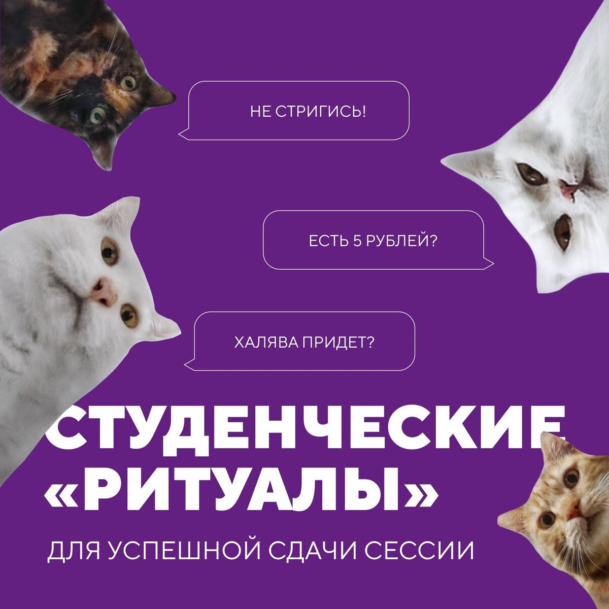 Периоды зачетов и экзаменов в вузе — самые волнительные этапы обучения. Но их можно преодолеть проще, если точно знать, к чему готовиться.-2