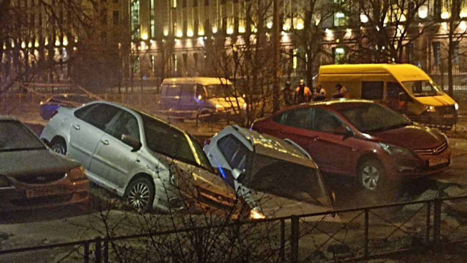    Автор фото: vk.com/spb_today