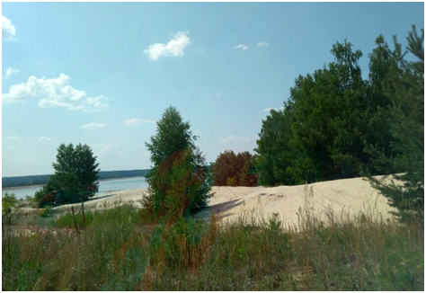 Ставьте лайки и подписывайтесь на мой канал