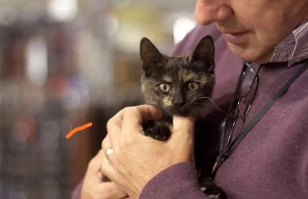 Рассказ "Отпечаток".