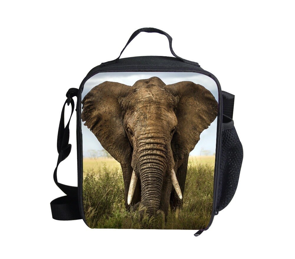 Рюкзак дельфин девичий