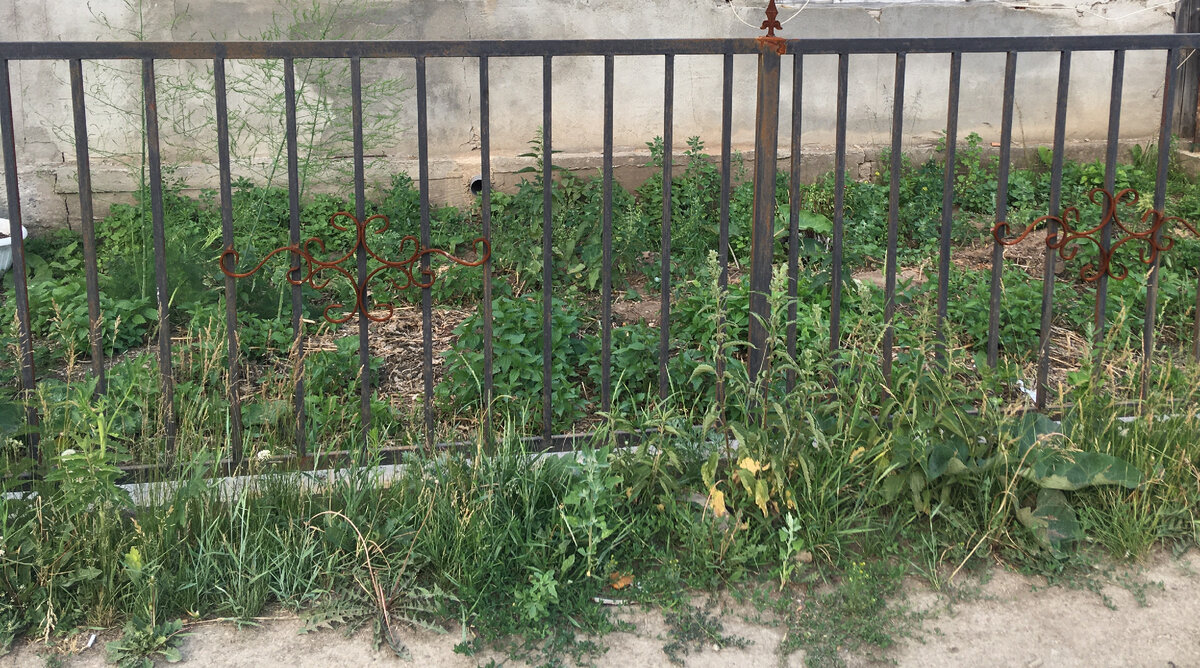 Жалкое зрелище