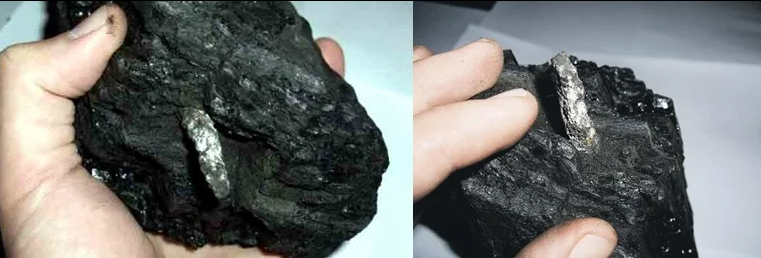 Фото: открытый источник. 