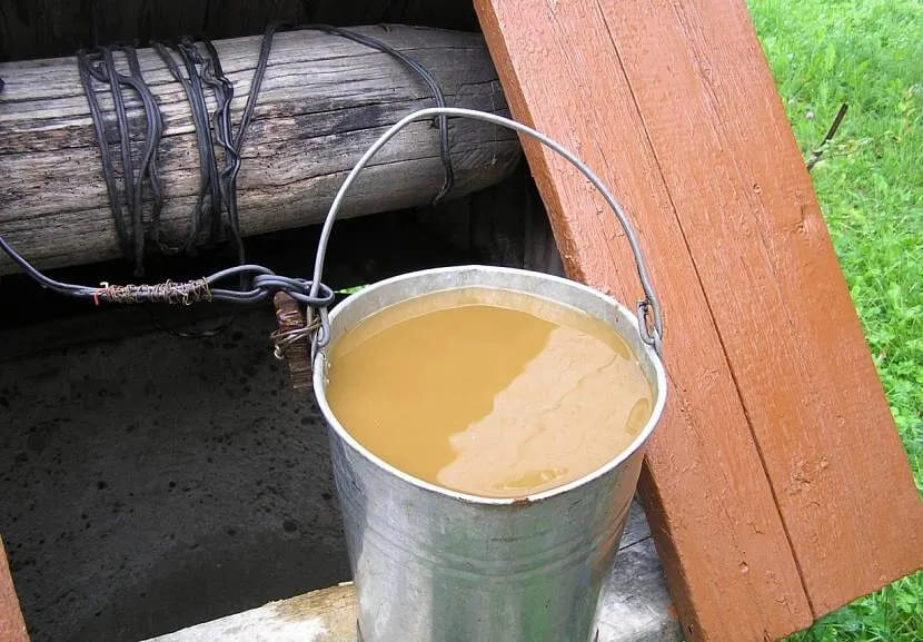 Что нужно знать о чистке и дезинфекции колодца? 