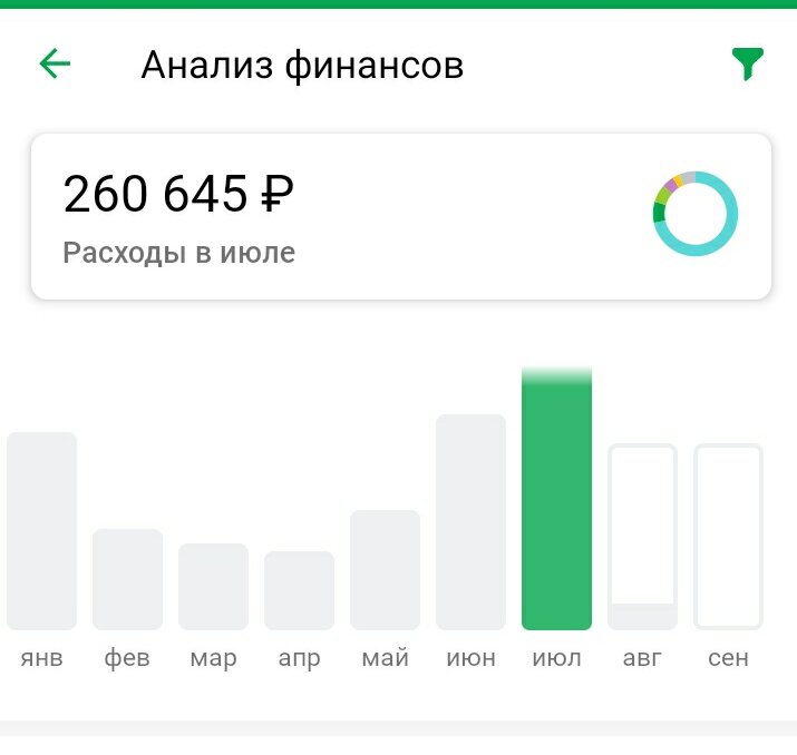 Таких крупных расходов не было с начала года. Если считать, что частично расплачивалась наличными, сумма расходов за месяц будет значительно больше.