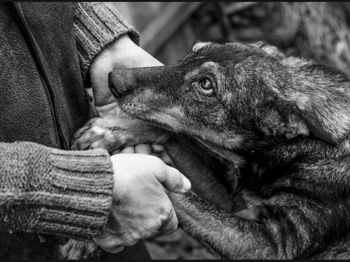 Фото из открытых источников информации