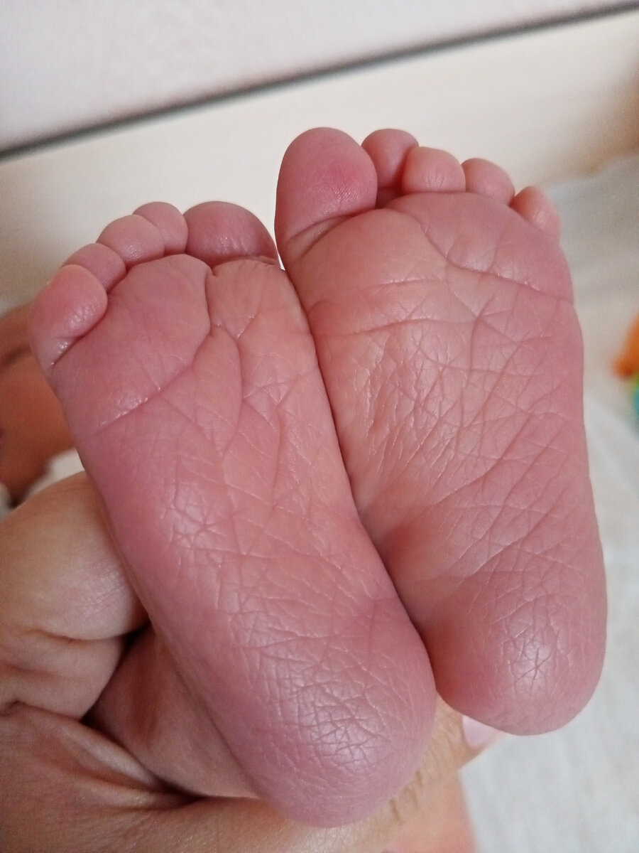                       Фотография автора