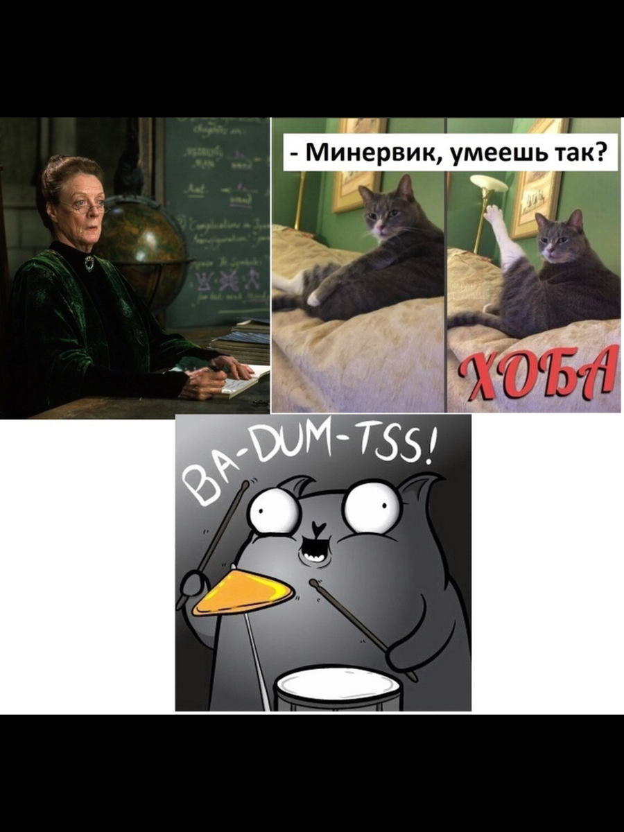 Мемы Гарри <b>Поттер</b>.Часть 23.