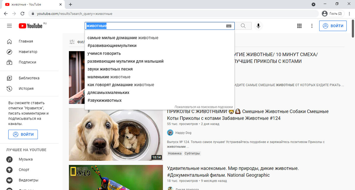 Браузер Google Chrome, вводим поисковый запрос на YouTube.