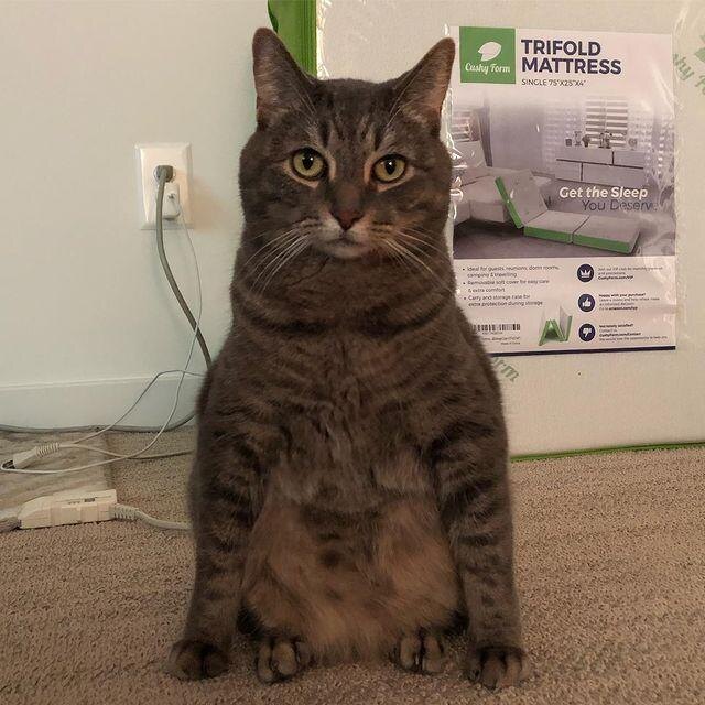 -2
