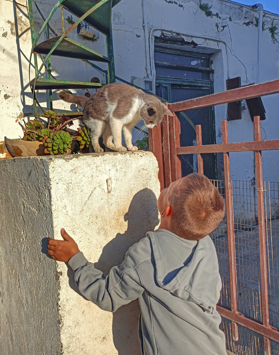 Лучшая одежда на осень - кофта на застёжке. Набежали облака - надел, вышло солнце - снял, повязал на пояс (на фото автора сын автора и критский котик, котику лайк)