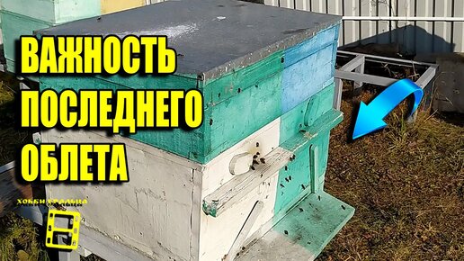 КАК ПРОСТО ОРГАНИЗОВАТЬ ПОСЛЕДНИЙ ОБЛЕТ ПЧЕЛ ОСЕНЬЮ? ДЛЯ НАЧИНАЮЩИХ ПЧЕЛОВОДОВ 32-21